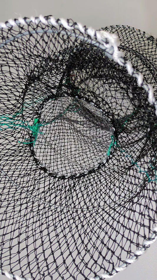 Collapsible Creel Trap - Lobster Crab Crayfish (hinged-top)